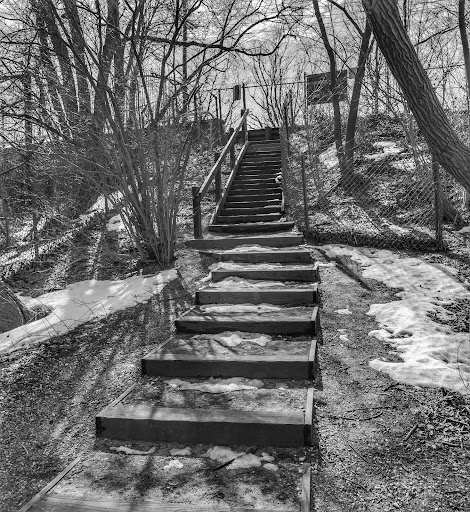 Nature Preserve «Twin Lakes Preserve», reviews and photos, Park Ave, Wantagh, NY 11793, USA