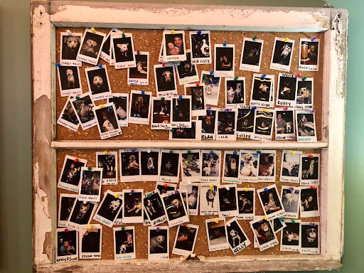 Brewery «Southern Brewing & Winemaking», reviews and photos, 4500 N Nebraska Ave, Tampa, FL 33603, USA