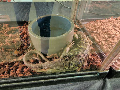 Civic Center «Florence Civic Center», reviews and photos, 3300 W Radio Dr, Florence, SC 29501, USA