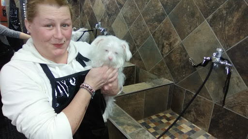 Pet Store «Pet Valu», reviews and photos, 374 Walmart Dr, Camden, DE 19934, USA