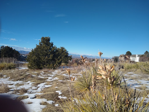 Museum «Vehicle Vault», reviews and photos, 18301 Lincoln Meadows Pkwy, Parker, CO 80134, USA