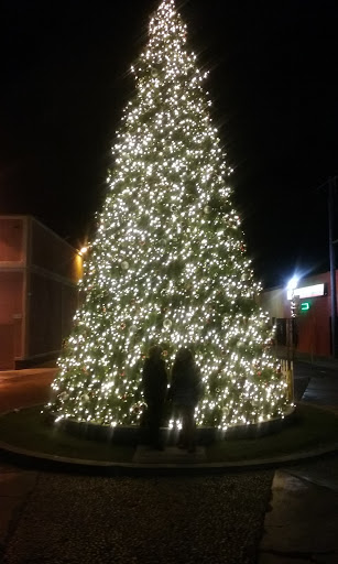 Cosmetics Store «SEPHORA», reviews and photos, 14006 Riverside Dr, Sherman Oaks, CA 91423, USA