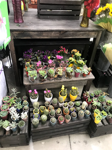 Grocery Store «Superior Grocers», reviews and photos, 4308 Slauson Ave, Maywood, CA 90270, USA