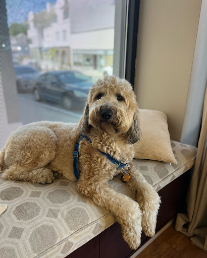 Jewelry Store «Diamond Dream Jewelry & Apparel», reviews and photos, 12 Mine Brook Rd, Bernardsville, NJ 07924, USA