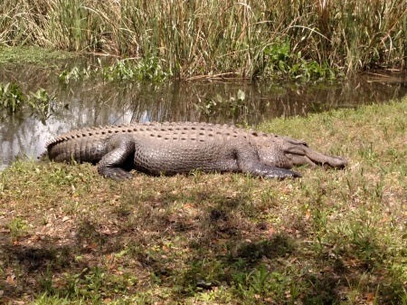 Golf Club «Heritage Golf Club», reviews and photos, 478 Heritage Dr, Pawleys Island, SC 29585, USA