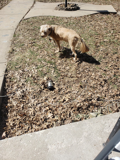 North Kansas City Animal Control