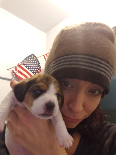 Pet Supply Store «Bay State Pet & Garden Supply», reviews and photos, 429 Winthrop St, Taunton, MA 02780, USA