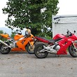 Fox Hunters Paradise