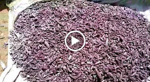 Jewelry Store «Hunt Country Jewelers», reviews and photos, 105 E Main St, Purcellville, VA 20132, USA