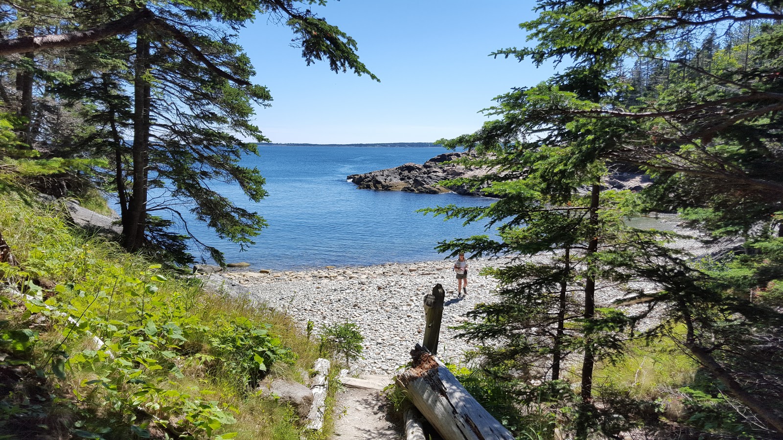 Zdjęcie Little Hunters beach z powierzchnią turkusowa czysta woda