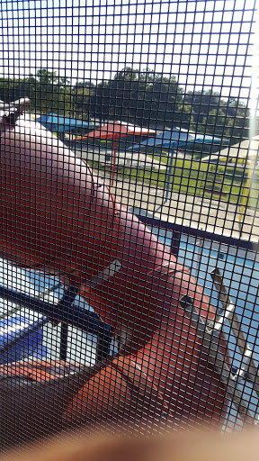 Park «Sunset Hills Park», reviews and photos, 500 Inspiration Dr, San Antonio, TX 78228, USA