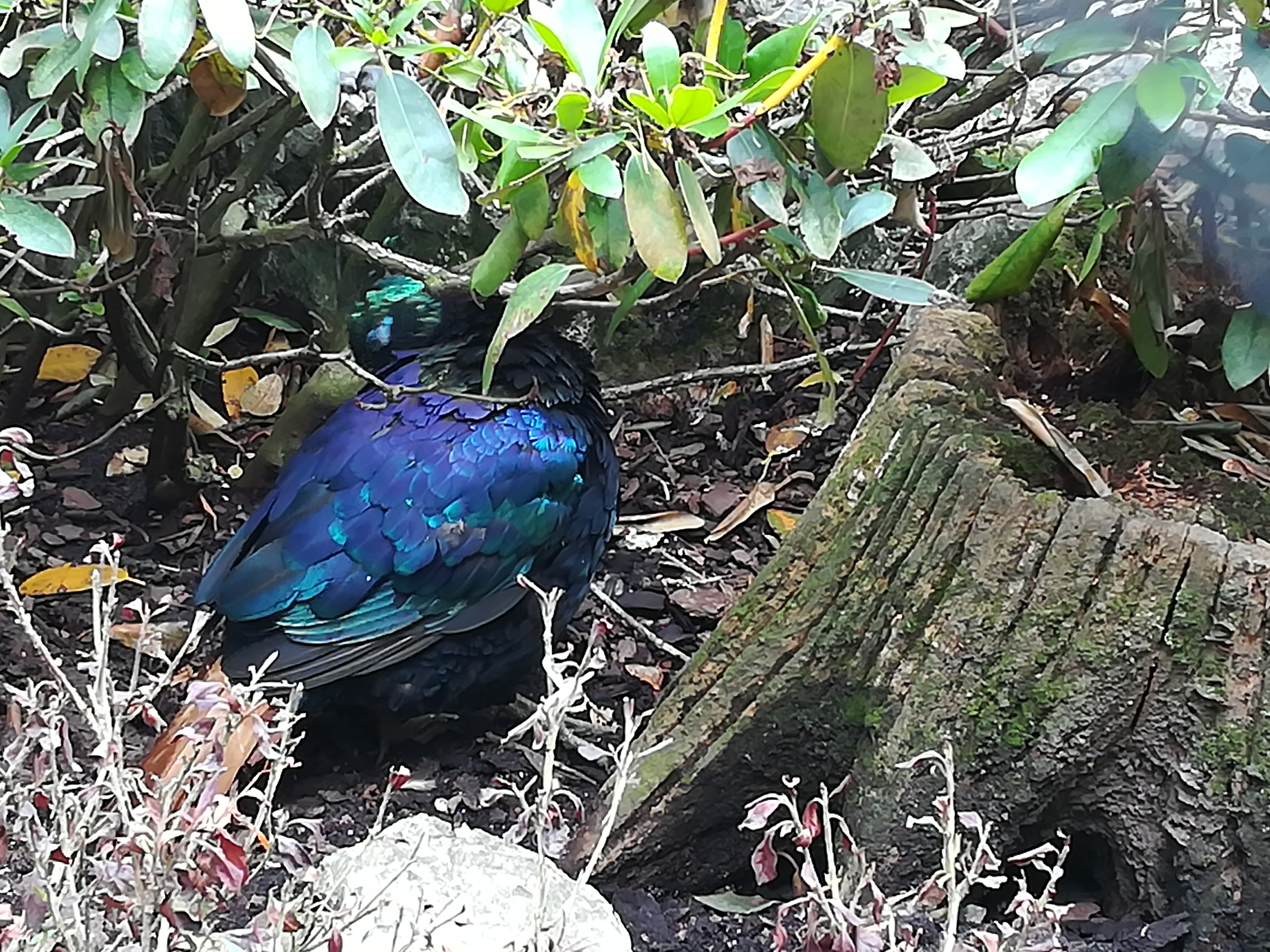 Photo n° 15 de l'avis de Christophe.A fait le 26/07/2020 à 19:03