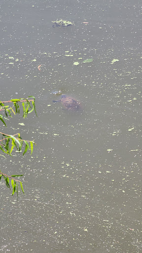 Wildlife Refuge «Red River National Wildlife Refuge», reviews and photos, 150 Eagle Bend Point, Bossier City, LA 71112, USA