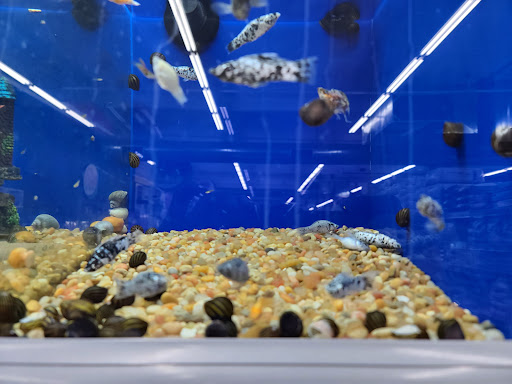 Pet Supply Store «Pet Supermarket, Inc.», reviews and photos, 598 N McCarran Blvd, Sparks, NV 89431, USA