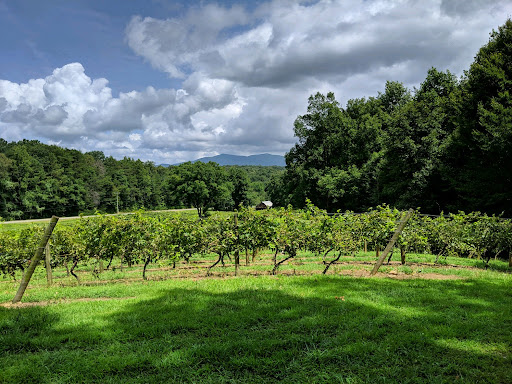 Winery «Cartecay Vineyards», reviews and photos, 5704 Clear Creek Rd, Ellijay, GA 30536, USA