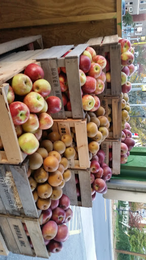 Grocery Store «Takoma Park-Silver Spring Food Co-op», reviews and photos, 201 Ethan Allen Ave, Takoma Park, MD 20912, USA