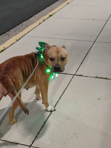 Amusement Park «Daytona Lagoon», reviews and photos, 601 Earl St, Daytona Beach, FL 32118, USA