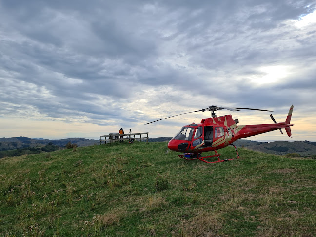 Reviews of Country Helicopters in Gisborne - Travel Agency