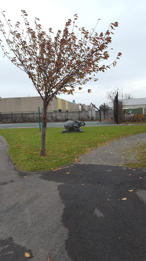 Nature Preserve «Troup Street Park», reviews and photos, 210-266 Troup St, Rochester, NY 14608, USA