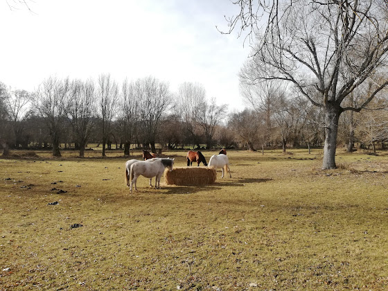 Photos des visiteurs Casa rural La Pintada Casa Rural 40163 Cañicosa