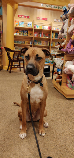 Book Store «Barnes & Noble», reviews and photos, 710 County Hwy 10, Blaine, MN 55434, USA