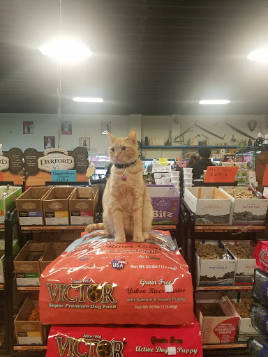 Mike's Feed & Pet