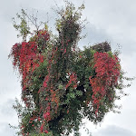 Photo n°2 de l'avis de angeleka.c fait le 15/10/2023 à 07:46 sur le  Heiligenstadt à Heilbad Heiligenstadt