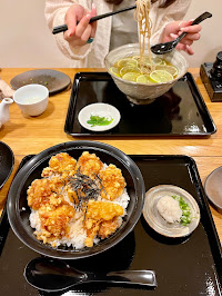 Katsudon du Restaurant japonais EchizenSOBA TOGO à Paris - n°1