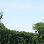 Photo n° 17 de l'avis de Frederik.a fait le 09/05/2022 à 00:22 pour Les Bordes Golf Club à Saint-Laurent-Nouan
