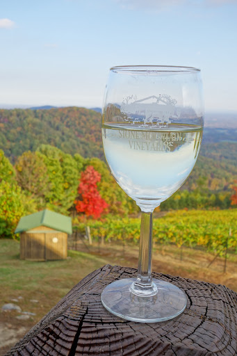 Vineyard «Stone Mountain Vineyards», reviews and photos, 1376 Wyatt Mountain Rd, Dyke, VA 22935, USA