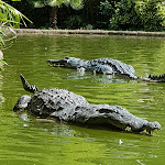 Photo n° 23 de l'avis de Valérie.h fait le 11/08/2019 à 09:06 pour Nigloland à Dolancourt