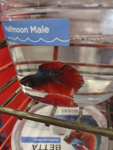 Pet Supply Store «Petco Animal Supplies», reviews and photos, 430 N Euclid St, Anaheim, CA 92801, USA