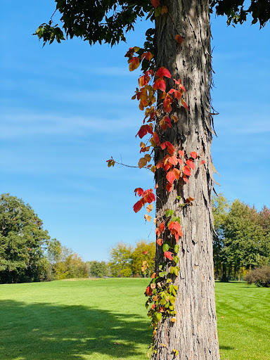 Golf Course «Saukie Golf Course», reviews and photos, 3101 38th St, Rock Island, IL 61201, USA
