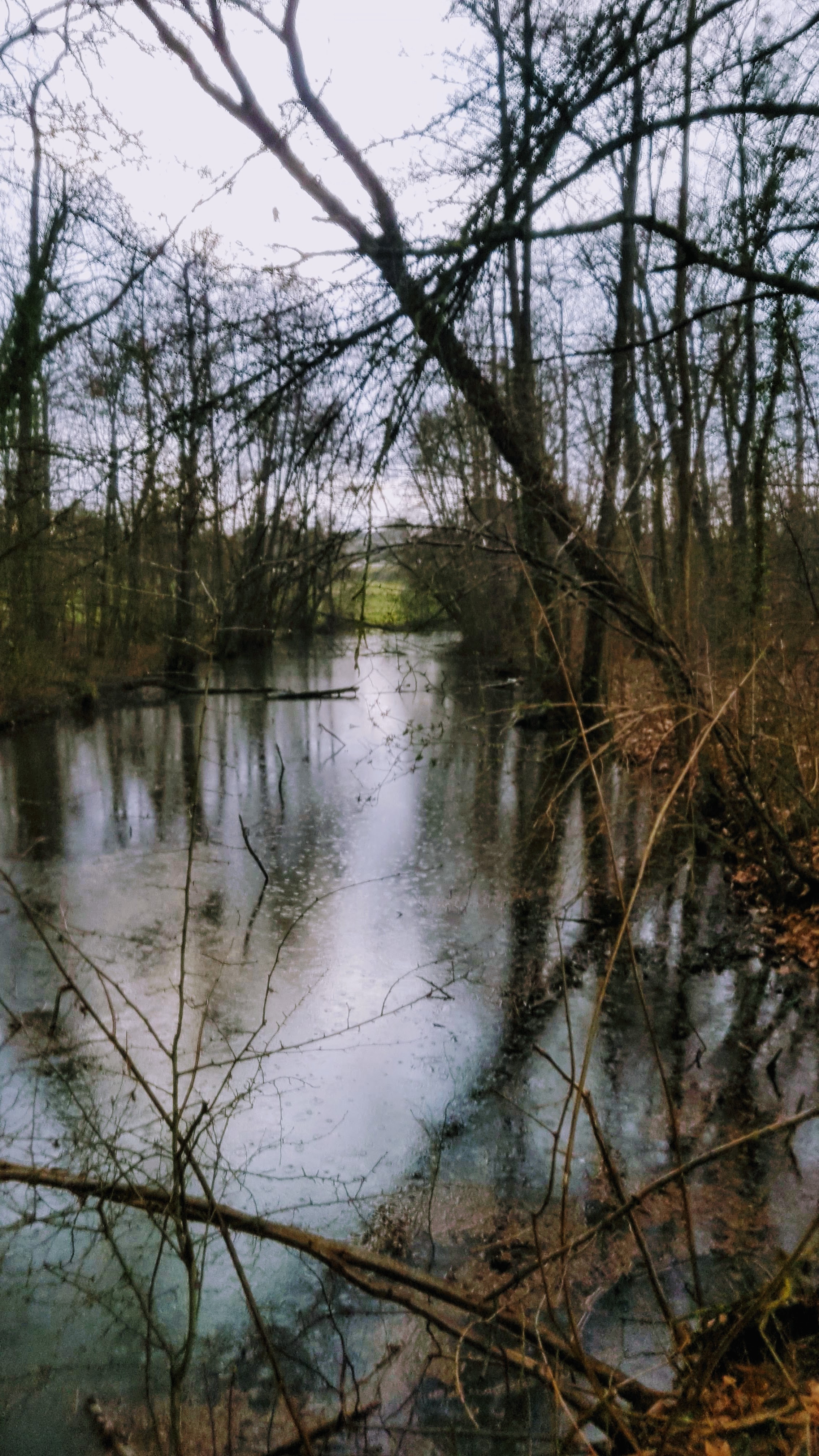 Photo n° 1 de l'avis de Jean-marie.o fait le 06/03/2019 à 12:51