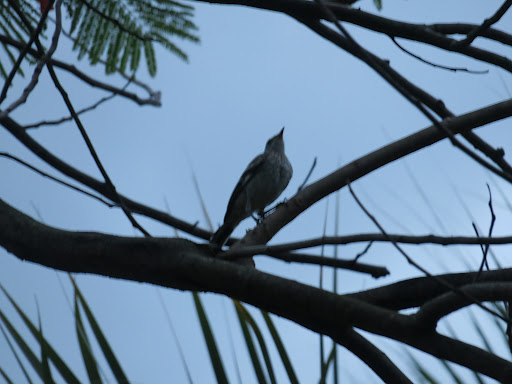 Golf Club «Plantation Preserve Golf Course & Club», reviews and photos, 7050 W Broward Blvd, Plantation, FL 33317, USA