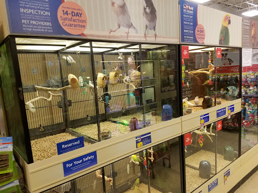 Pet Supply Store «PetSmart», reviews and photos, 19 Clifton Country Rd, Clifton Park, NY 12065, USA