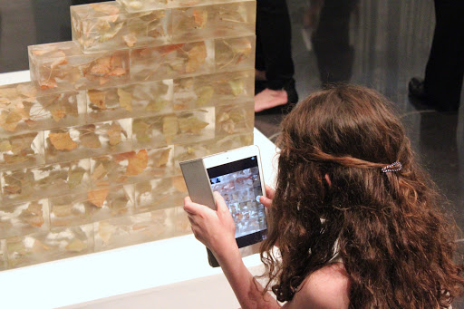 Art Museum «Susquehanna Art Museum», reviews and photos, 1401 N 3rd St, Harrisburg, PA 17102, USA