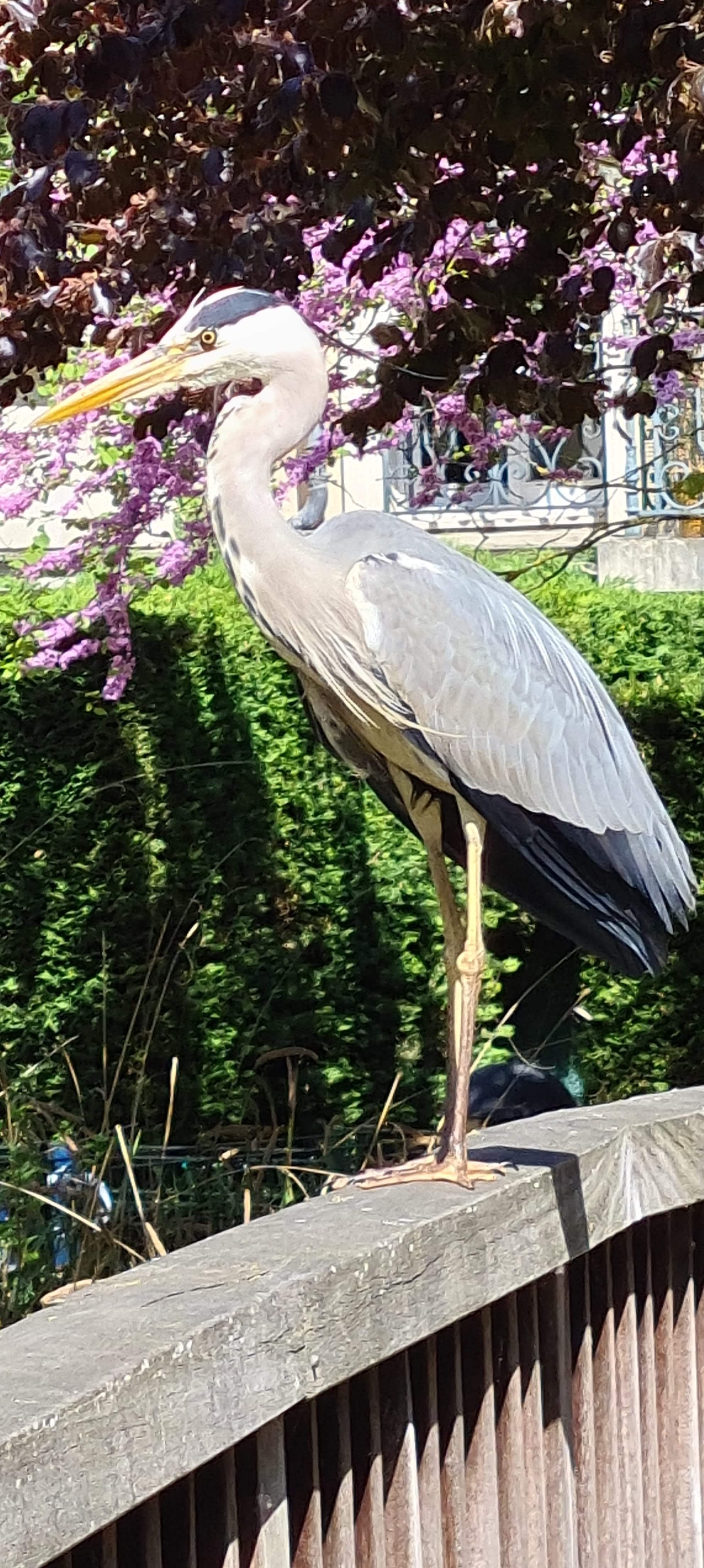 Photo n° 1 de l'avis de Yann.. fait le 28/12/2015 à 21:20