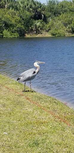 Country Club «Gator Trace Golf & Country Club», reviews and photos, 4302 Gator Trace Dr, Fort Pierce, FL 34982, USA