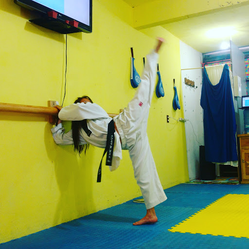 Villas Taekwondo México A.C. “ Toluca”
