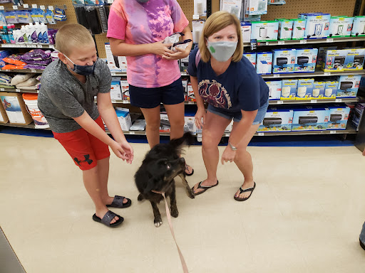 Pet Supply Store «Petco Animal Supplies», reviews and photos, 7907 State Highway N, Dardenne Prairie, MO 63368, USA