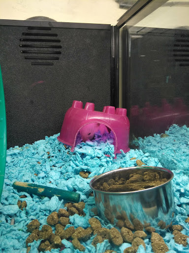 Pet Supply Store «PetSmart», reviews and photos, 2020 SW Westport Dr, Topeka, KS 66604, USA