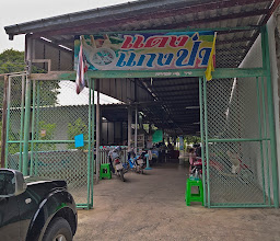Pu Yai Amnuay photo