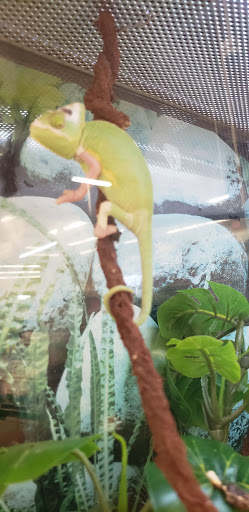 Pet Supply Store «Petco Animal Supplies», reviews and photos, 1015 Fording Island Rd, Bluffton, SC 29910, USA