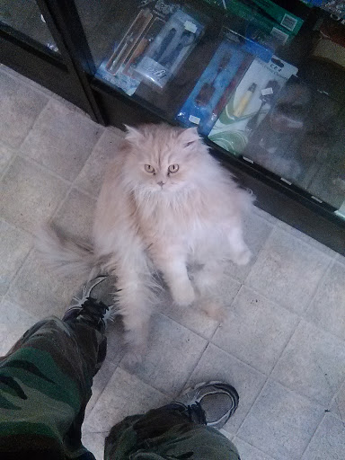 Tobacco Shop «Hodas Tobacco», reviews and photos, 663 Elm Rd NE, Warren, OH 44483, USA