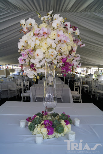 Florist «Trias Flowers & Gifts», reviews and photos, 6520 SW 40th St, Miami, FL 33155, USA