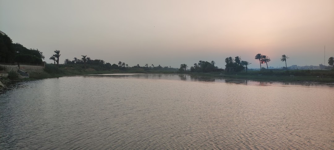 Beni Süveyf, Mısır