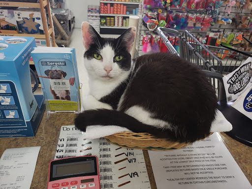 Pet Trainer «Healthy Pet Center», reviews and photos, 154 Delaware Ave, Delmar, NY 12054, USA