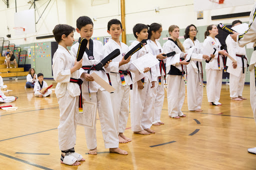 Professional Martial arts Taekwondo Center