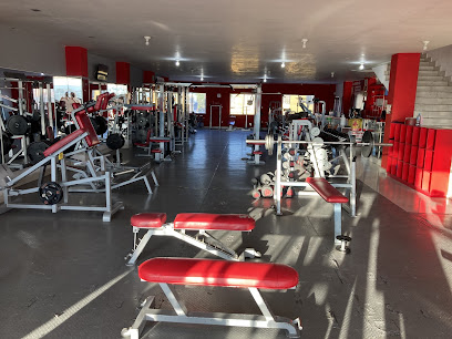 Hard Body Gym - Av. Salvador Nava Martínez 404, Nuevo Paseo, 78328 San Luis, S.L.P., Mexico